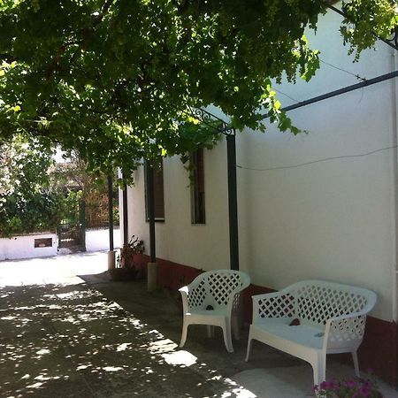 Casa Vacanze Paestum - Cilento Εξωτερικό φωτογραφία