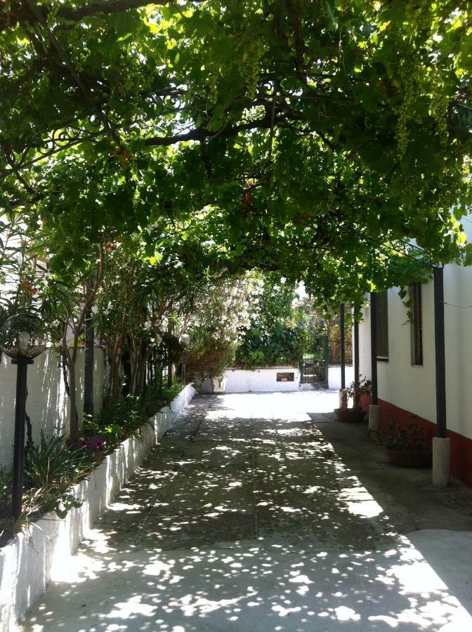 Casa Vacanze Paestum - Cilento Εξωτερικό φωτογραφία